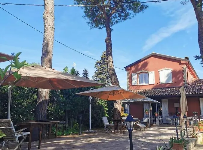 B&B Parco Degli Ulivi Misano Adriatico